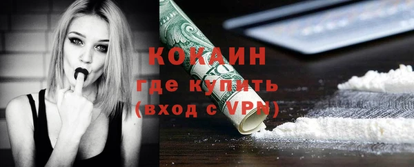 стафф Богданович