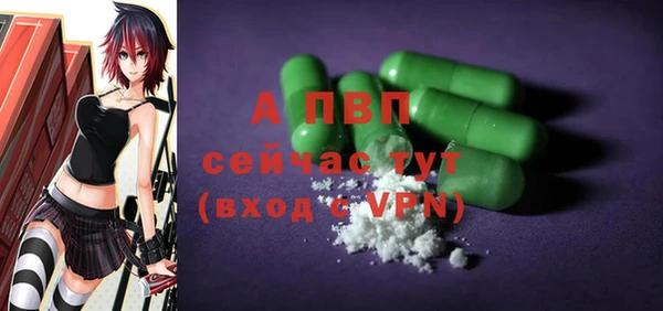 стафф Богданович