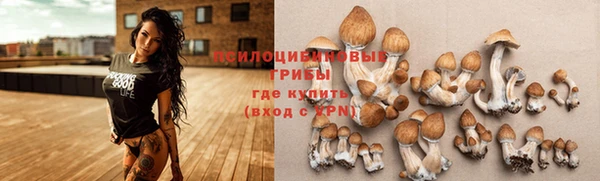 герыч Богородск