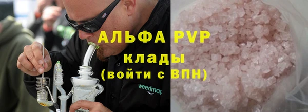 стафф Богданович