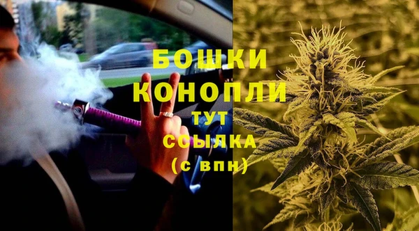 стафф Богданович