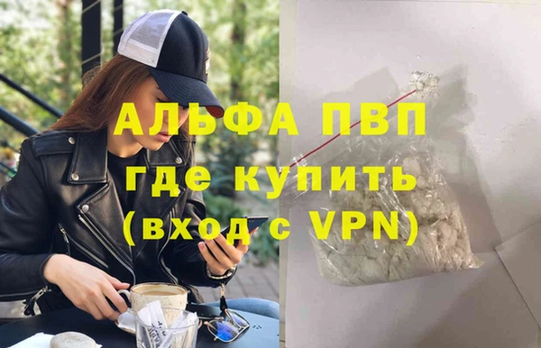 стафф Богданович