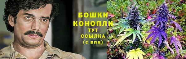 прущий лед Богородицк