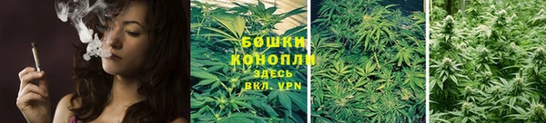 стафф Богданович